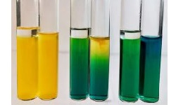 Oxidation Fermentation Test